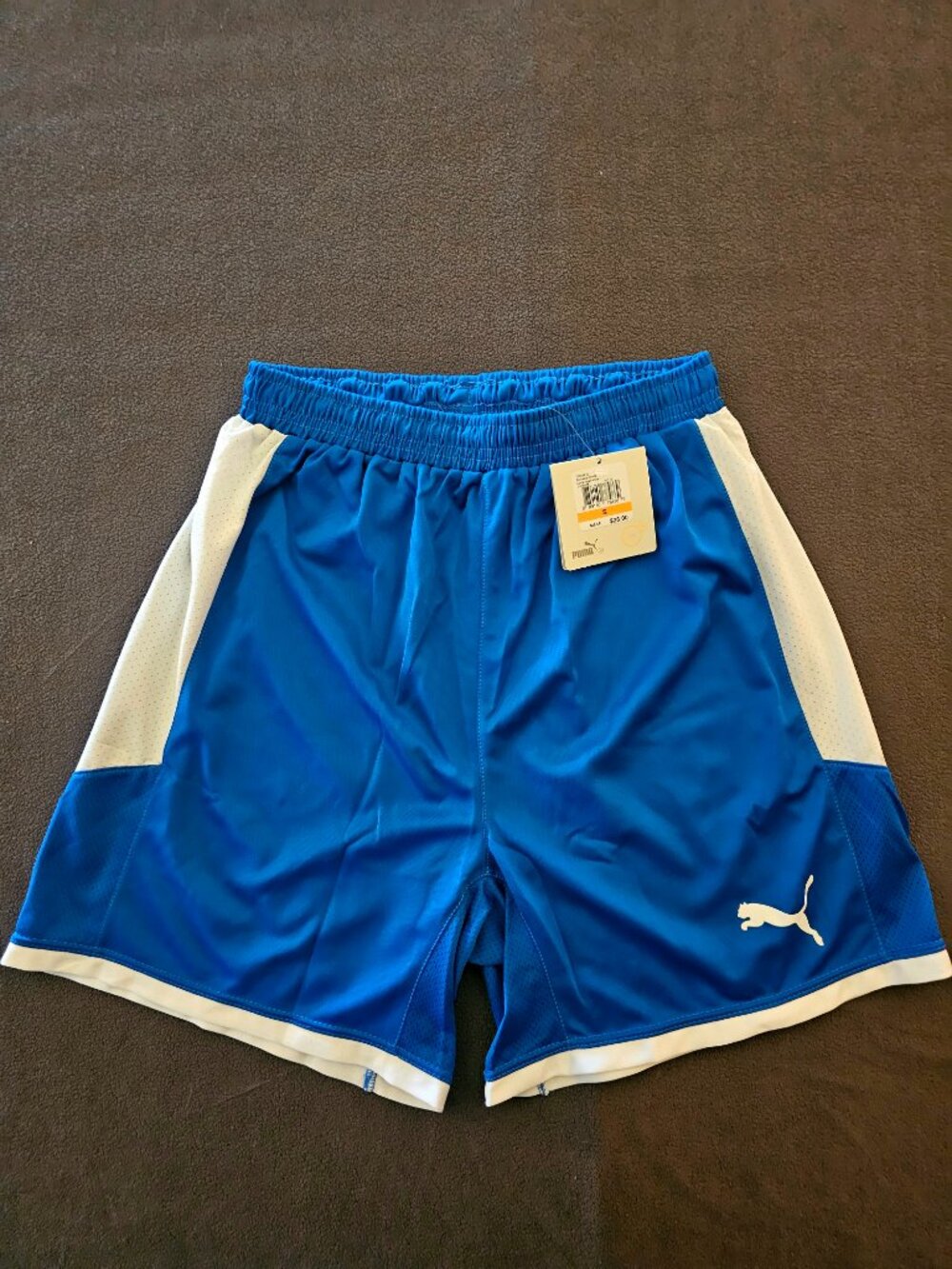 Puma Borussia Shorts Mens Small Blue White dryCELL Athletic Soccer NWT 703030